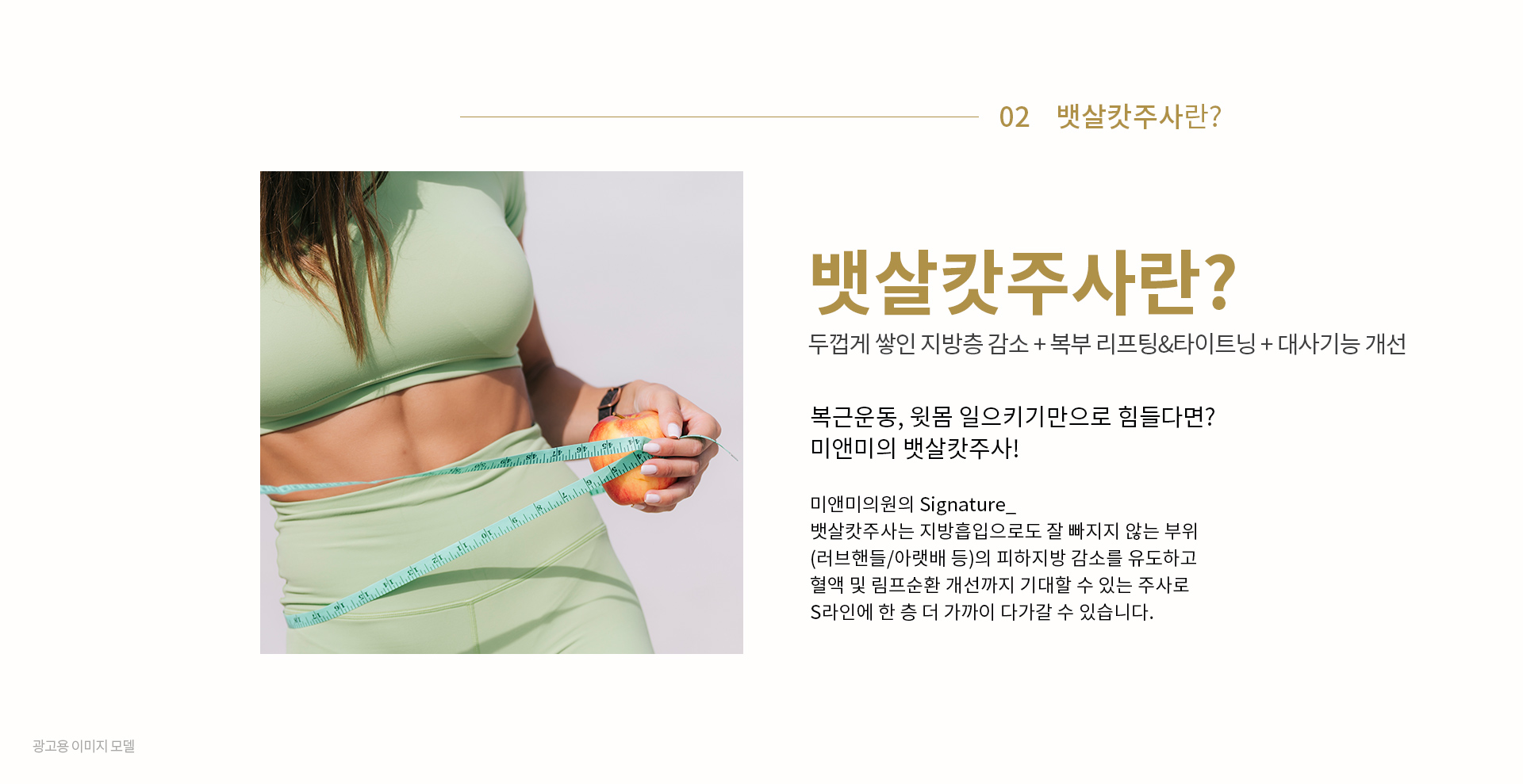 뱃살캇주사란?