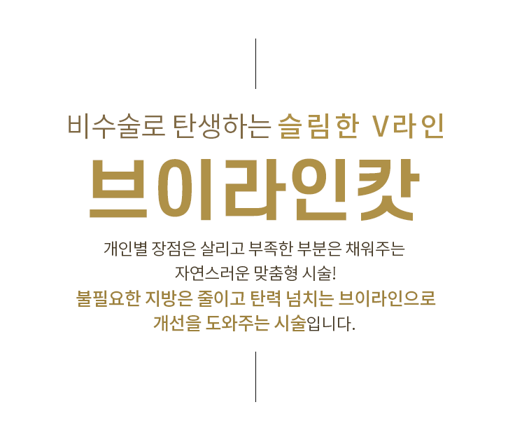 브이라인캇주사
