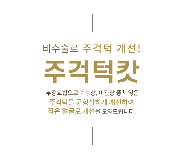 브이라인캇주사
