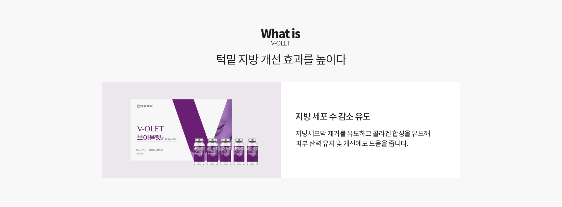 브이올렛 란?