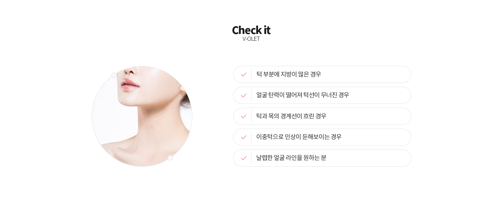 브이올렛 체크리스트