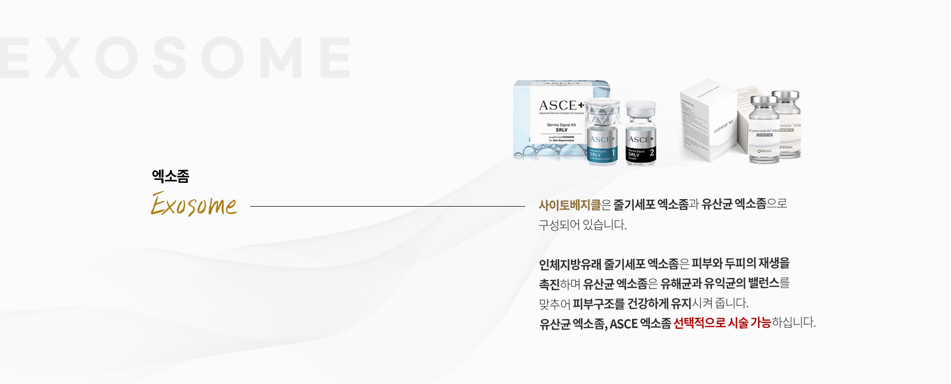  사이토베지클은 줄기세포 엑소좀과 유산균 엑소좀