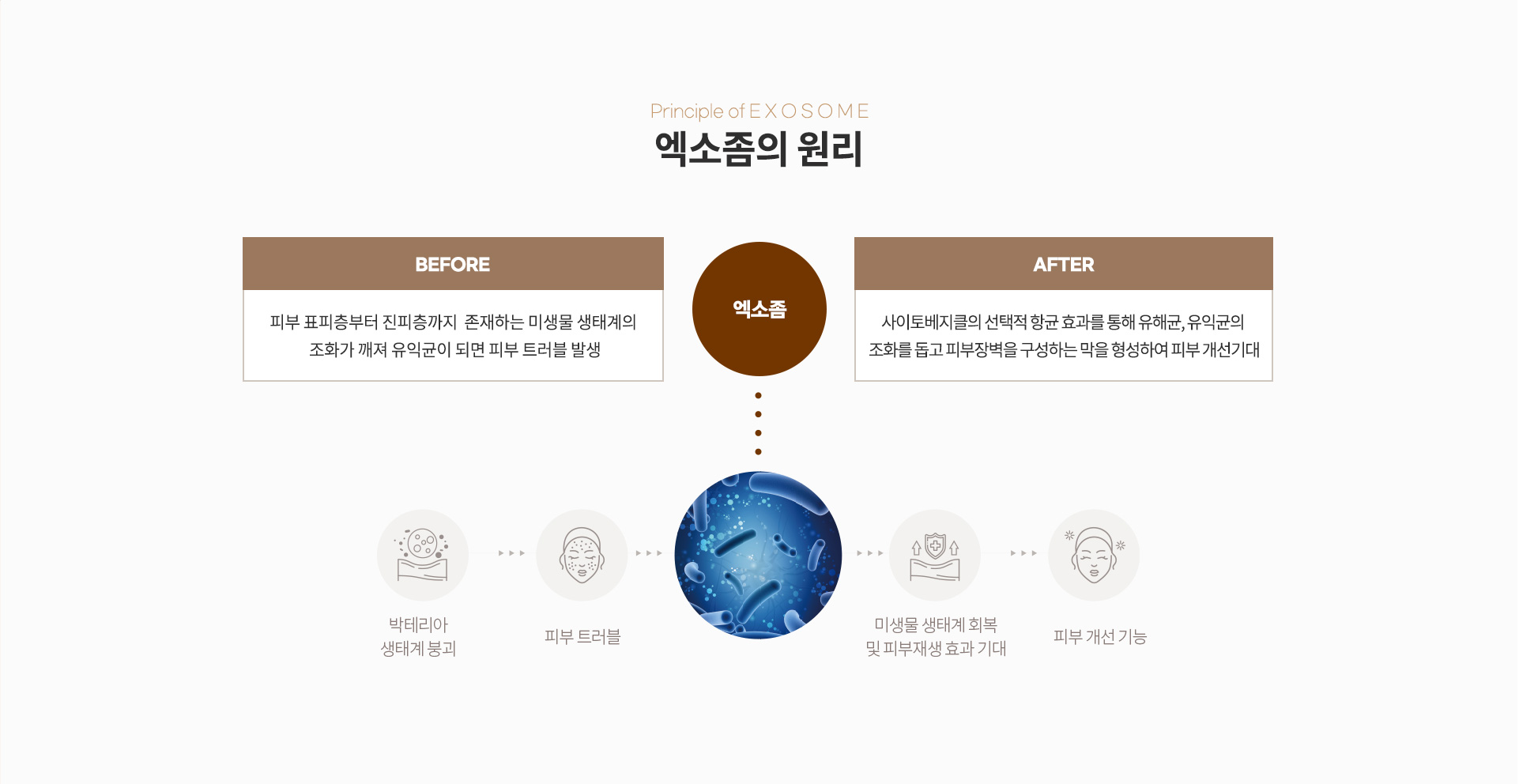 엑소좀의 원리