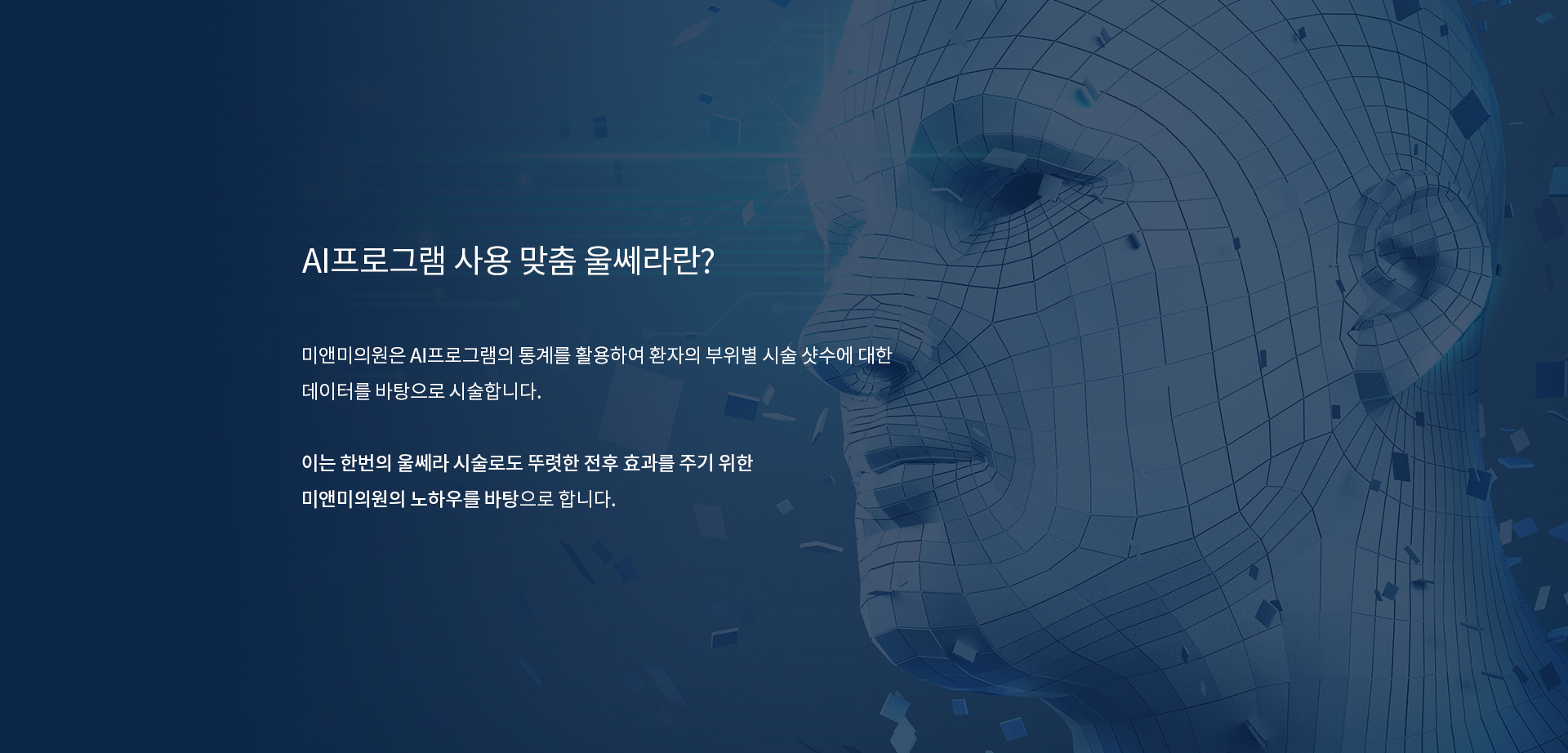 AI프로그램 사용 맞춤 울쎄라란?