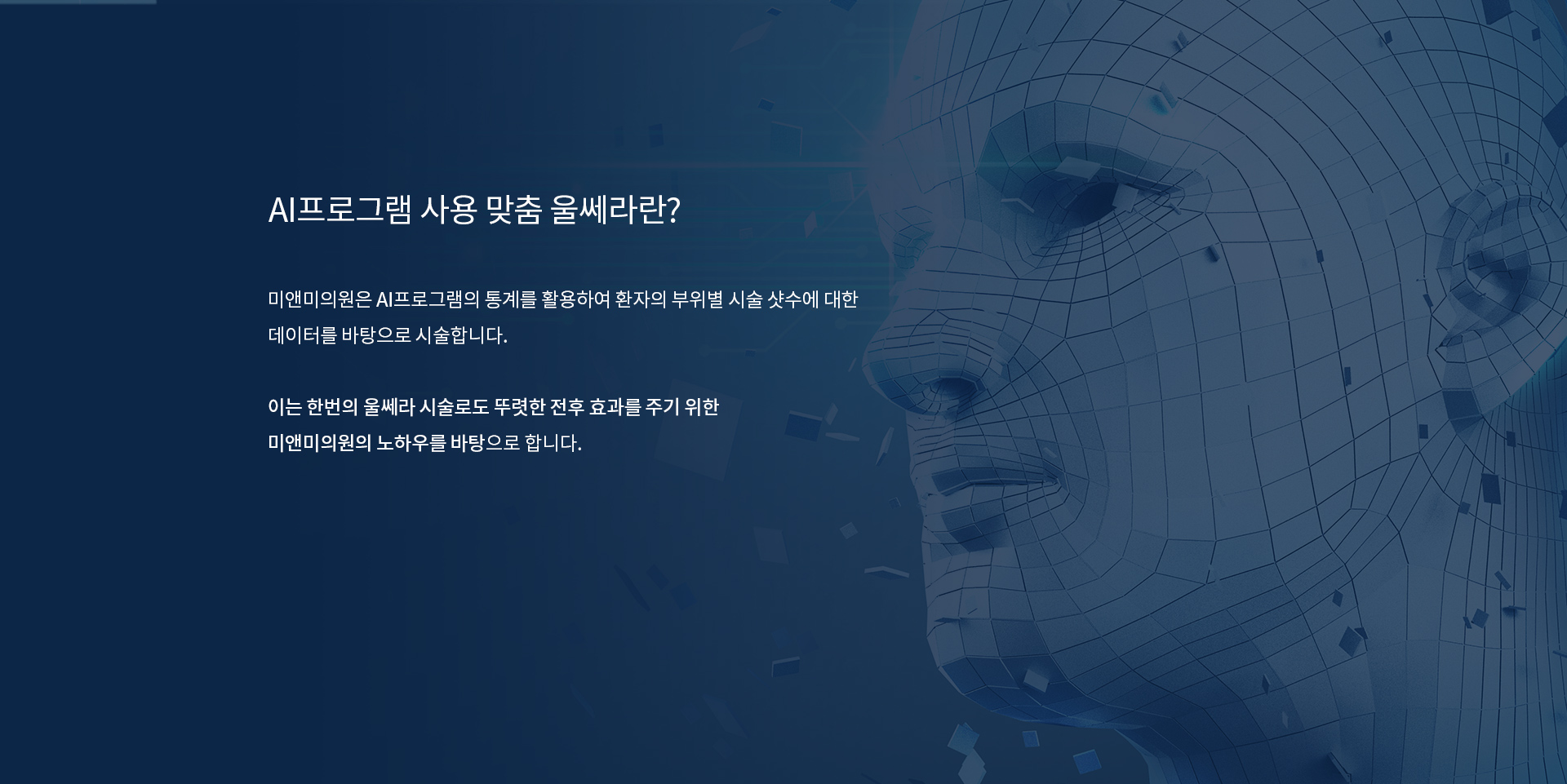 AI프로그램 사용 맞춤 울쎄라란?
