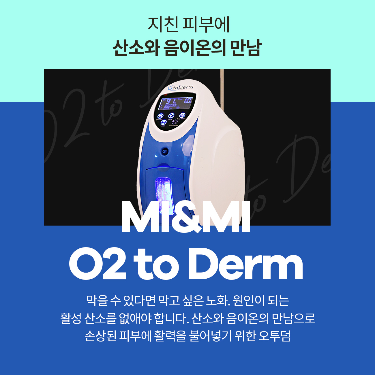 오투덤