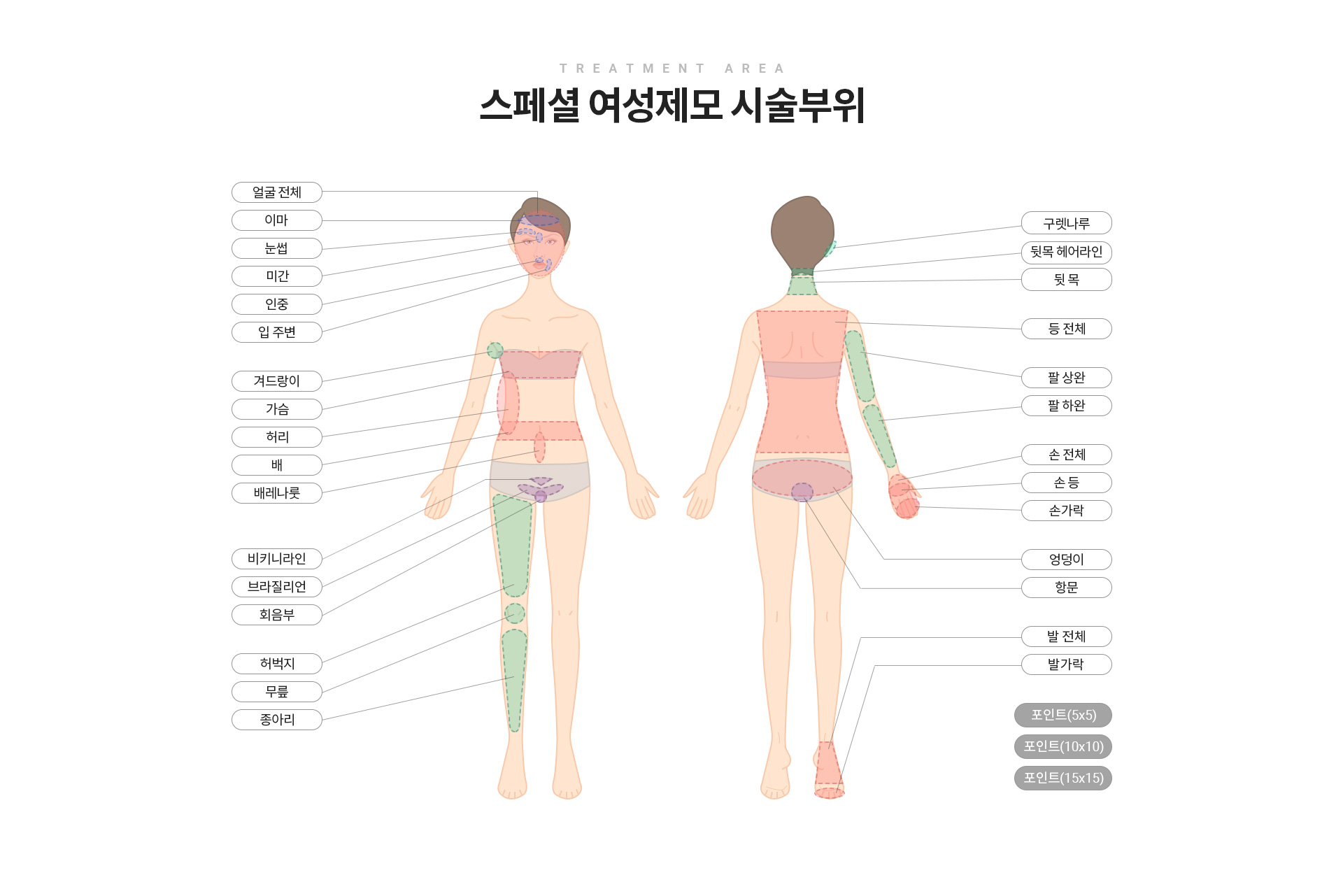 스페셜 여성제모 시술부위