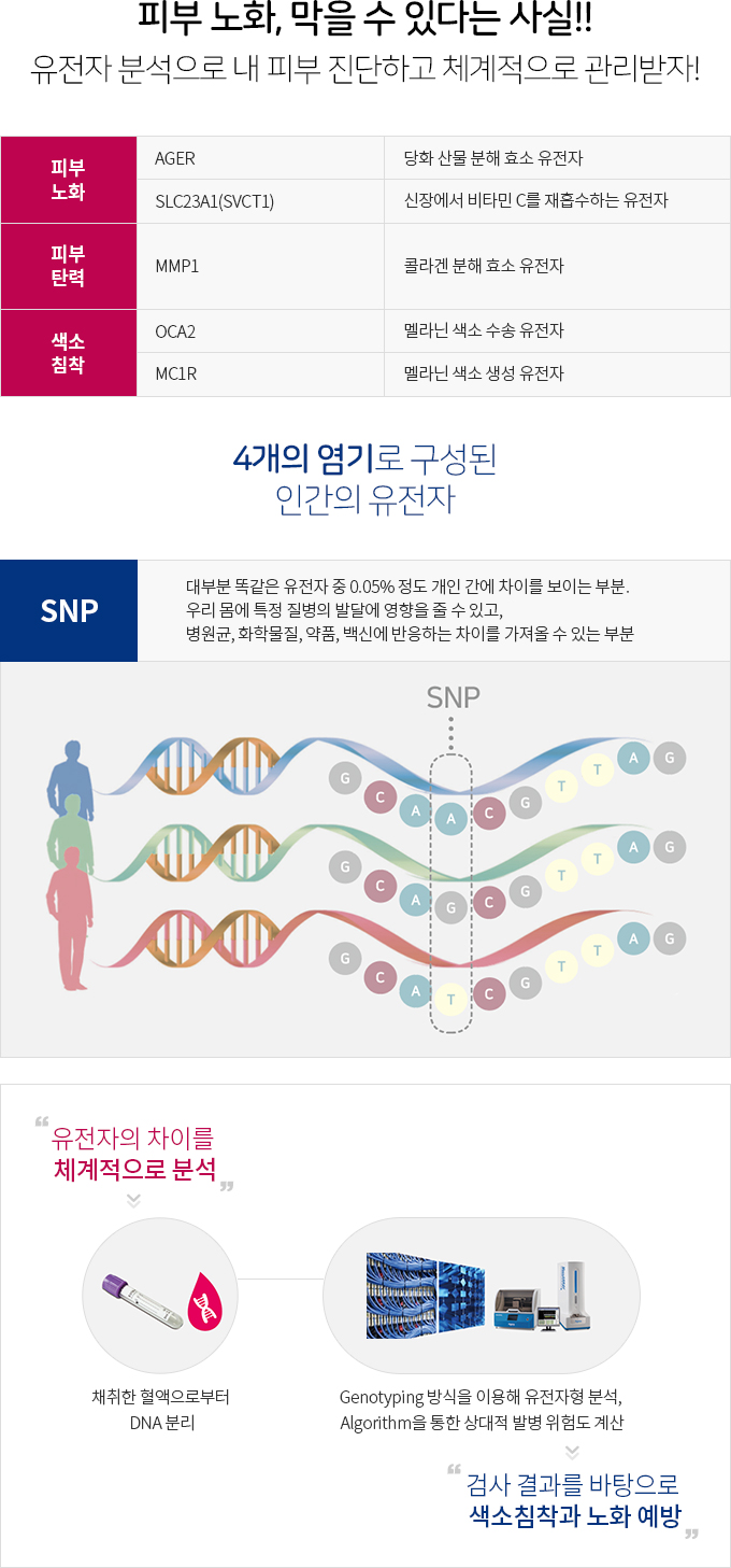 유전자 검사