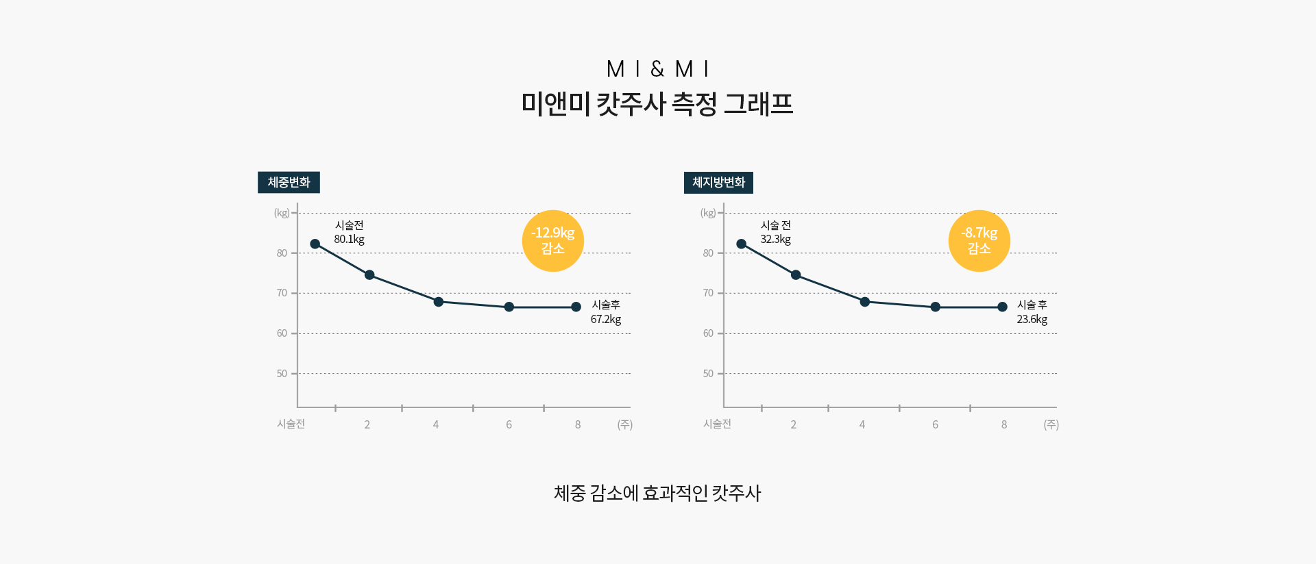 오리지널 캇 솔루션 8주간의 개선 측정1