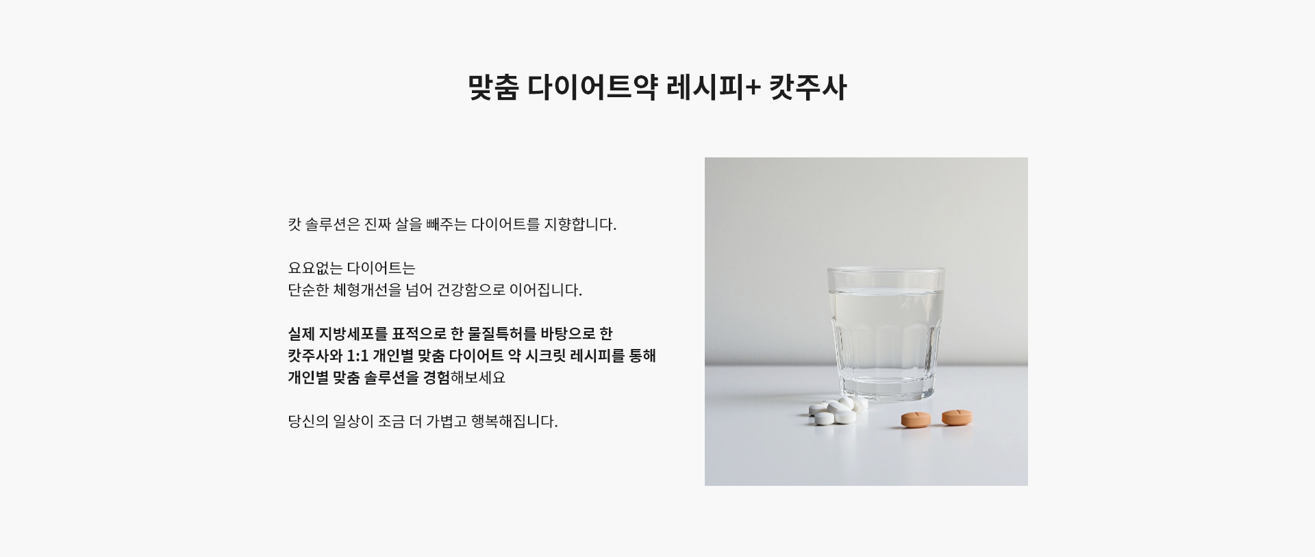 맞춤 다이어트약 레시피+캇주사