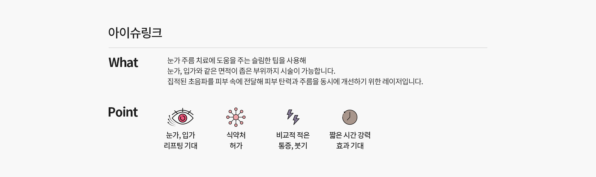 아이슈링크 기본설명