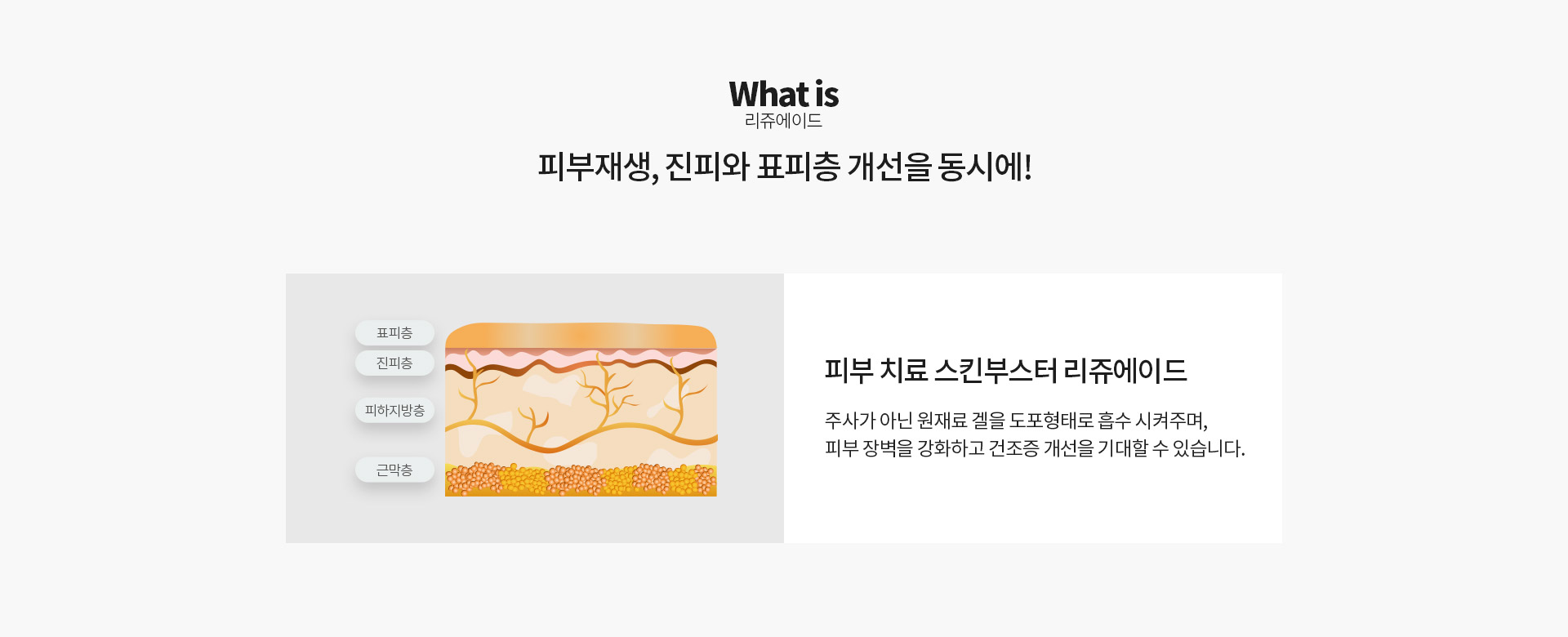 리쥬에이드 피부재생, 진피와 표피층 개선을 동시에!