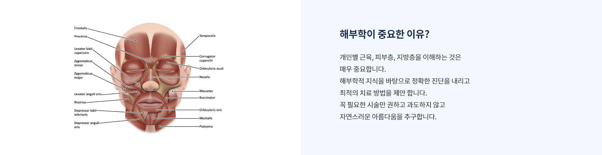 해부학이 중요한 이유?